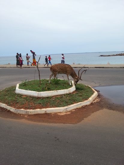 Das Selfie mit Hirsch hat leider nicht funktioniert