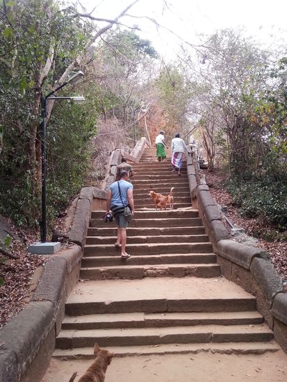 Der steile, von Hunden gesäumte Weg nach oben