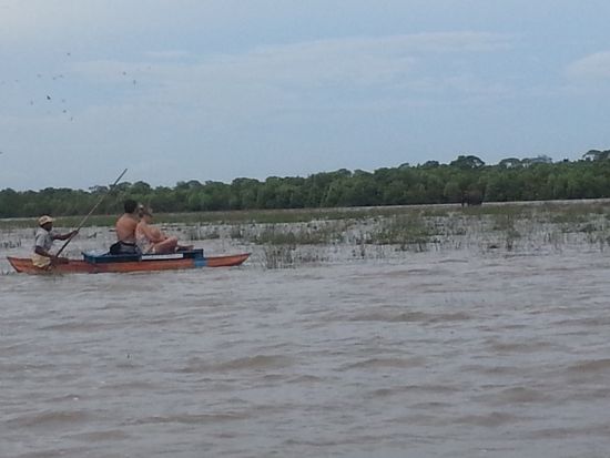 Auf diesem Bild versteckt sich ein Elefant Bessere Bilder folgen!!!