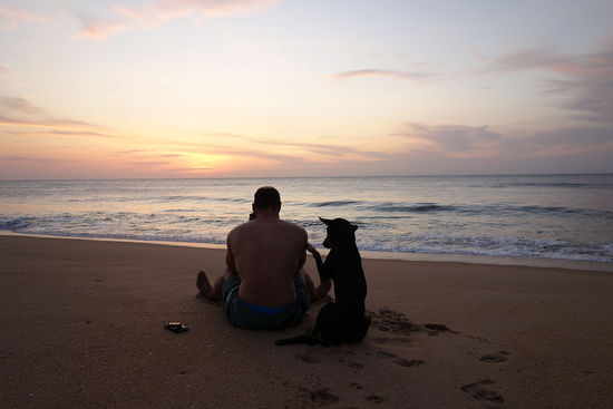 Sonnenaufgang VoI III, jetzt mit Hund