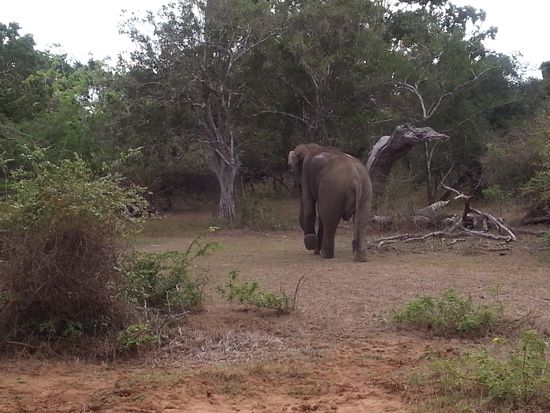 ...und schon wieder weg