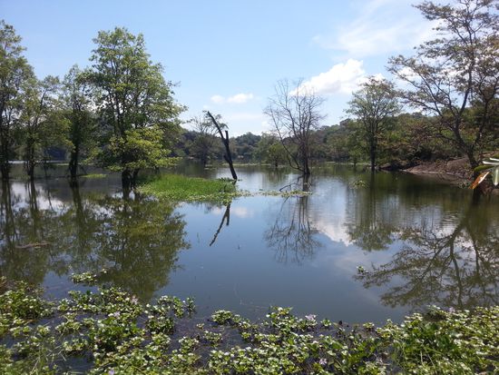 Der See auf dem Weg nach Buduruwagala