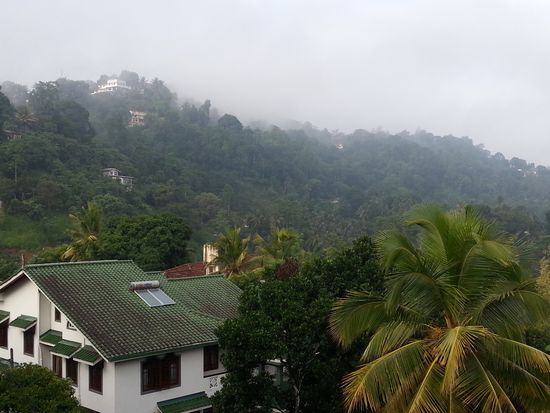 Der nebelverhangene Hotelausblick