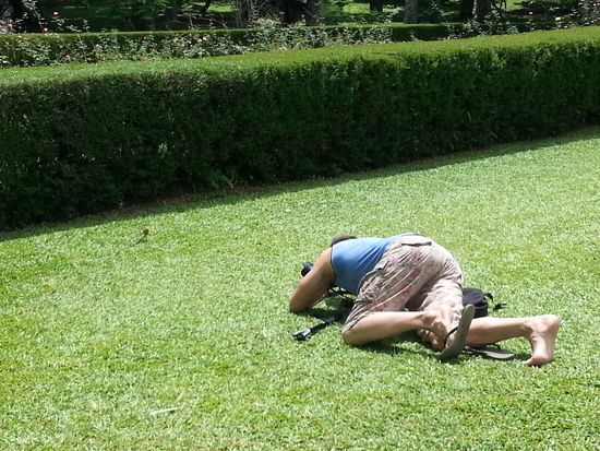 Voller Körpereinsatz, um eine Echse zu fotografieren