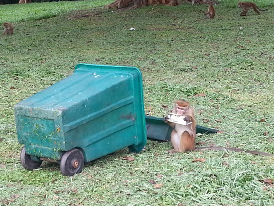 Super, wenn so ein Ding umfällt!