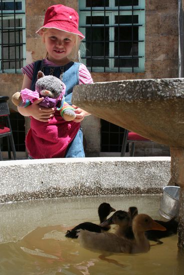 Mia mit Babyenten also Tier des Tages: Babyenten