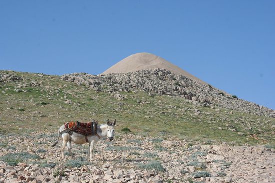 Der Tumulus auf der Spitze des Berges Nemrut.