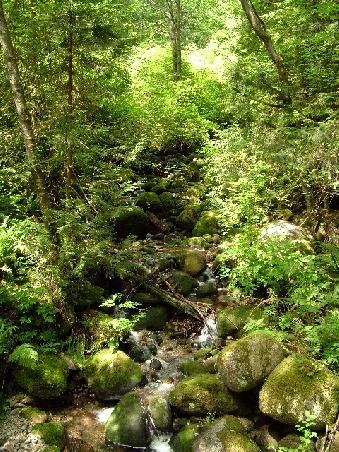 Kleiner Zufluss
