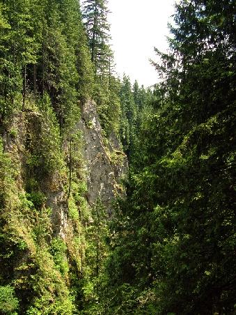 Felsklippen ueber dem Capilano River