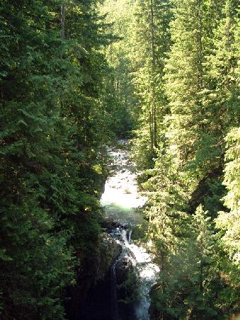 Lynn River