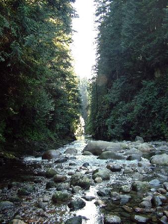 Lynn Canyon