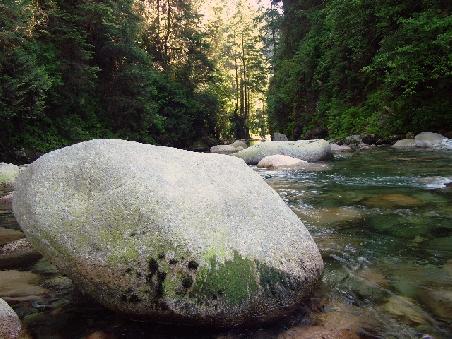 Flussgeroell