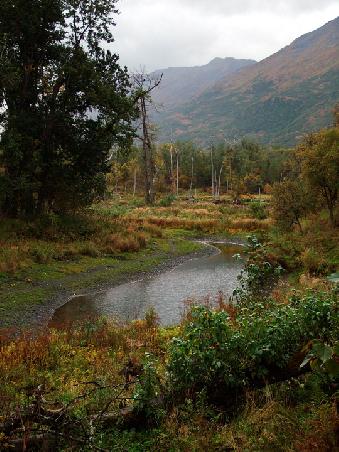 Ein Altarm des Zachar River, angeblich seit dem letzten Erdbeben abgeschnitten