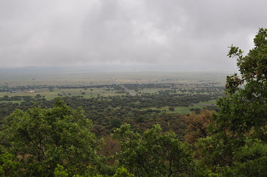 Berge, Olivenbäume, Weideland und eine Weite ohne Bebauung.