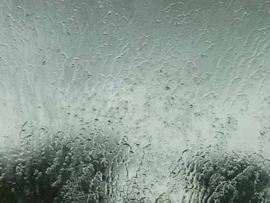 der Regen begleitete uns