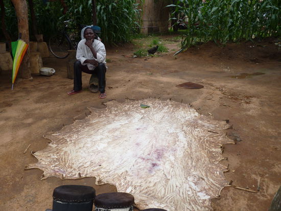 hier werden die frisch abgezogenen Felle an der Straße gespannt únd getrocknet -man hat das gestunken- bevor