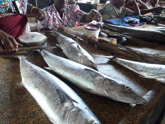 Baracuda unser leckeres Abendessen