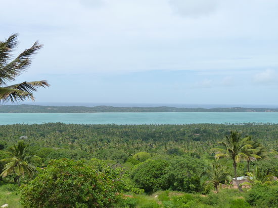 in echt sieht das viel fantastischer aus,alles voller Kokosnußpalmen bis runter zum Wasser