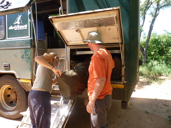 unsere Zelte- jeder hatte eine Nummer so das man immer das selbe Zelt hatte
