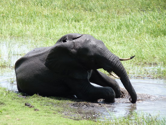 ein kühles Bad man tut das gut