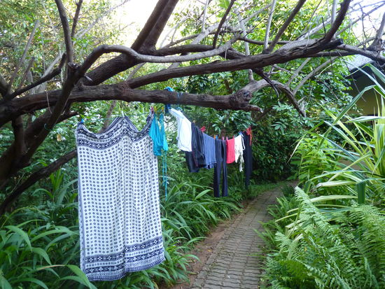 Waschtag,war notwendig wer weiß wann es die nächste Chance dafür gibt