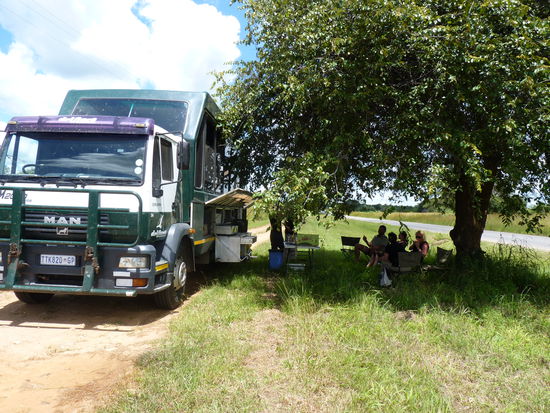 Mittagessen im Schatten großer Bäume