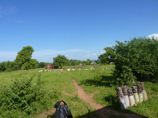 Holzkohle wurde am Straßenrand ständig angeboten