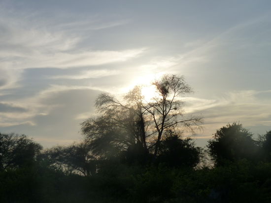 Morgendämmerung