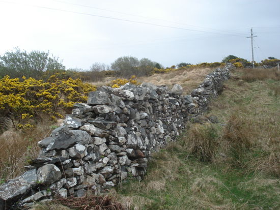 Steinmauer als Grenze zwischen zwei Feldern