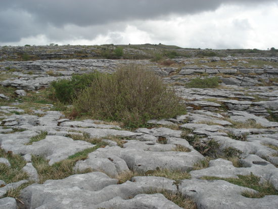 im Burren