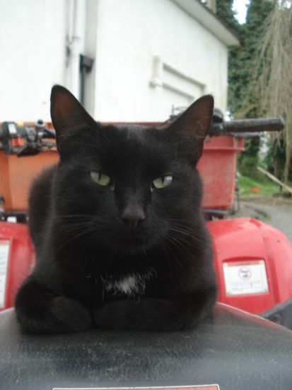 Jake sieht das auch so =)