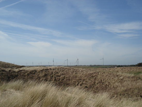 auch hier gibt es jede Menge Windräder