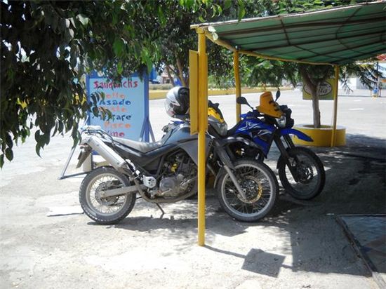 auch die Motos suchen Schatten