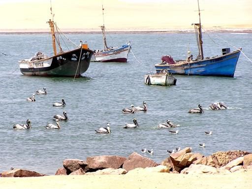 Fischerboote