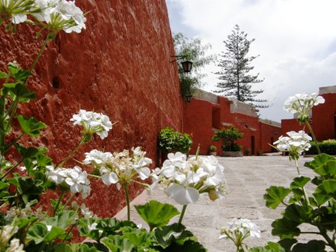 Blumen im Kloster