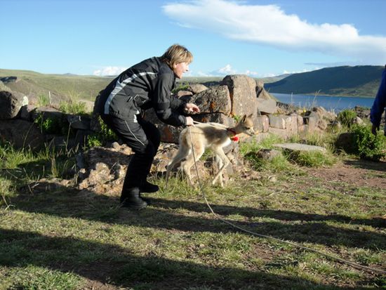 Heidi in Action