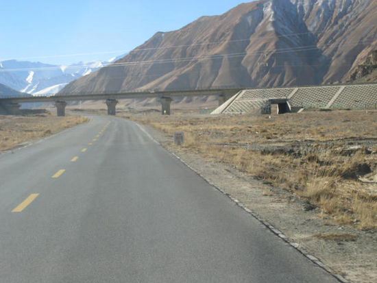 Auf der Fahrt nach Nagqu begleitete uns immer die Qinghai-Tibet-Bahn, welche wir neunmal kreuzten.
Die im Westen wegen des Zielbahnhofs Lhasa-Bahn, auch Tibet-Bahn, in China Qinghai-Tibet-Bahn, bzw. Qingzang-Bahn genannte Eisenbahnstrecke in der Volksrepublik China verbindet Xining, die Hauptstadt der Provinz Qinghai, mit Lhasa, der Hauptstadt des Autonomen Gebietes Tibet. Die Gesamtstrecke geht über 1956 km - mit den beiden Teilabschnitten Xining-Golmud (814 km, seit 1984 in Betrieb) und Golmud-Lhasa (1142 km; seit 2006 in Betrieb). Mit einem Scheitelpunkt von 5.072 Metern ist sie die höchstgelegene Bahnstrecke der Erde (255 m höher als die Peruanische Südbahn). An ihr liegen ebenfalls der höchstgelegene Bahnhof der Welt (Tanggula, 5.068 m) und der höchstgelegene Tunnel der Welt (4.905 m).In Höhen von mehr als 4.000 Metern verlaufen rund 960 km des Streckenabschnitts von Golmud bis Lhasa.
Eine einfache Fahrt kostet ab Peking - je nach Komfort - umgerechnet etwa ab 40 Euro. Ein Platz im Liegewagen kostet 126 Euro. Kinder unter 1,40 m zahlen die Hälfte, Kinder unter 1,10 m reisen gratis.