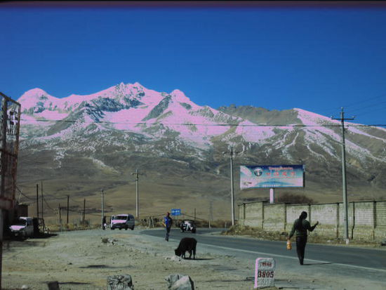 Wie im Bericht erwähnt, gibt es in Tibet die "speed control". Daher mussten wir hier vor der nächsten Polizeikontrolle über eine halbe Stunde warten. Dies nutzten wir für einen Hochebenenspaziergang.