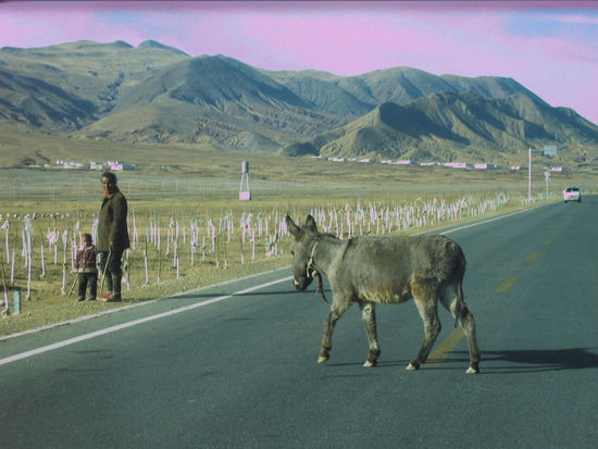 ...wieder einmal ein bockiger Esel. Der wollte partout nicht von der Strasse.