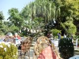 Gartenrestaurant am See, wo wir....