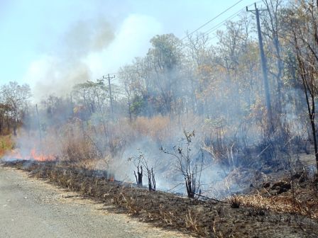 Das sind die ersten Bilder von Kambodscha. Es brannte überall. Aber es sah so aus, als ob das Feuer für irgend einen Zweck gelegt wurde. Das ging Kilometerlang so weiter. Auch an das konnten wir uns gewöhnen
