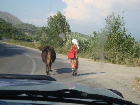 Erster Eindruck nach 100 Meter in Albanien