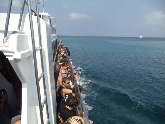 Wie Sardinen in einer Buechse