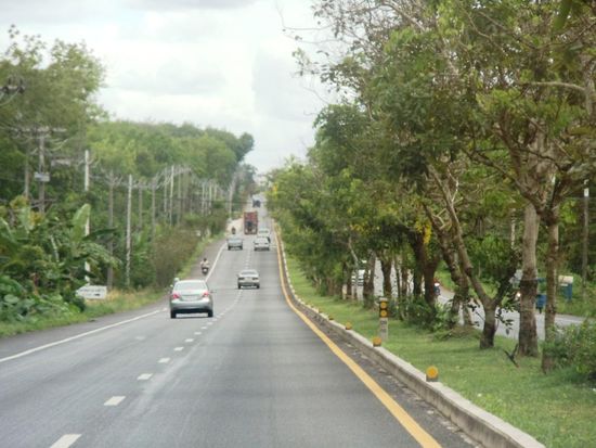 Letzte Bilder kurz vor der Grenze zu Malaysia