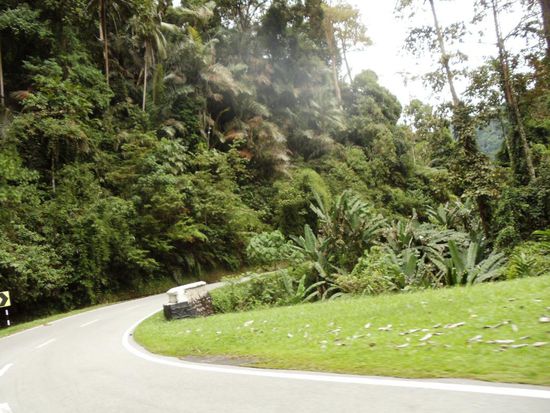 Unterwegs auf der schönen und kurvenreichen Strasse, weg von der Hitze, zu angenehmen Temperaturen nach Tanah Rata....
