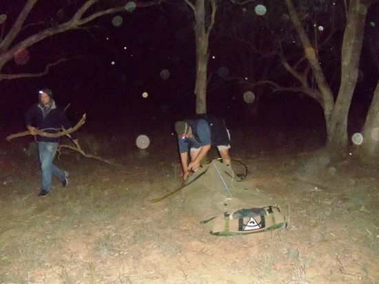 Zelte aufstellen, Holz holen