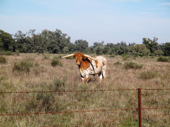 Unterwegs sahen wir dann endlich auch noch verschiedene Tiere.