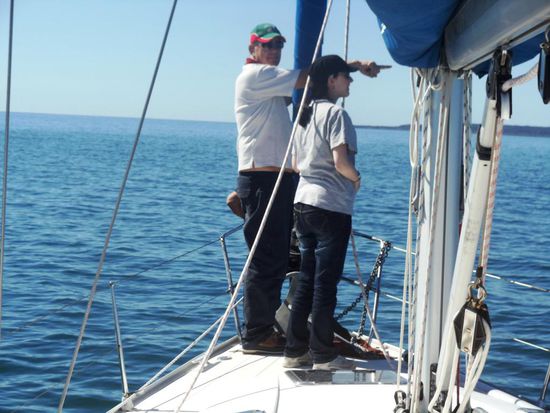 Dann sahen alle Delphine..