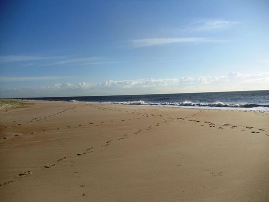 Der Strand von Bribie Island. Blick nach links....
