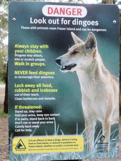 Hier noch ein paar Warnschilder auf Fraser Island von den wirklich (zu)fürsorgenden Aussies...